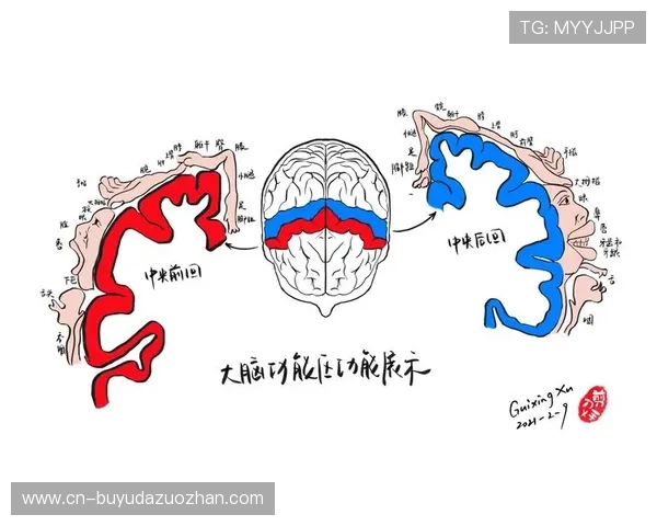 曲棍球锻炼大脑反应与身体协调，香港设老年组别